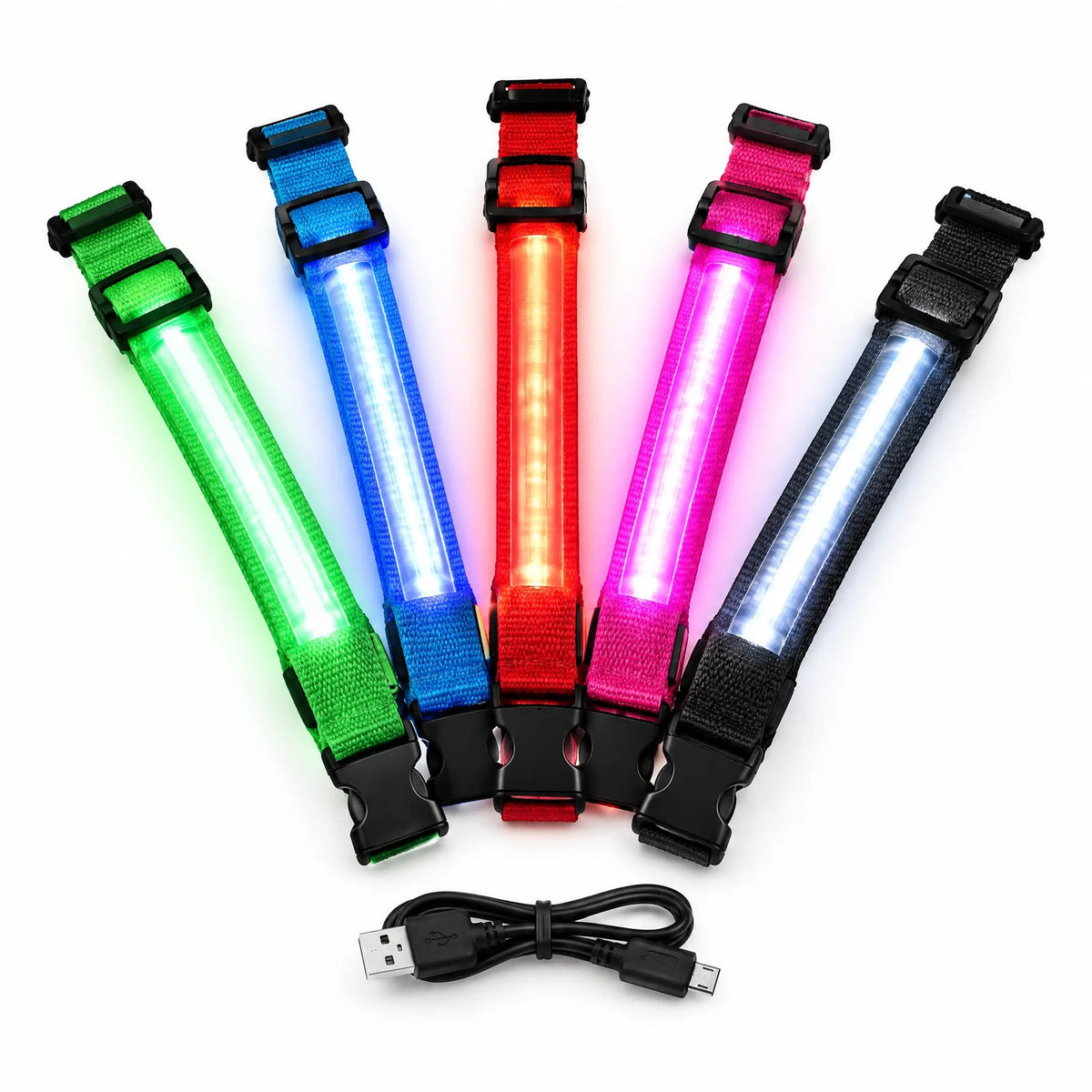 LED-halsband för hund