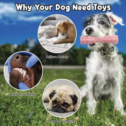 Resistant Bite Resistant Pet Toy Toothbrush Bone Sturdy Dog Toy Interactive Puppy Game Toy Dog Bone Rubber Puppy Chew Toy Dog
