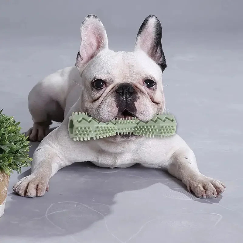 Resistant Bite Resistant Pet Toy Toothbrush Bone Sturdy Dog Toy Interactive Puppy Game Toy Dog Bone Rubber Puppy Chew Toy Dog