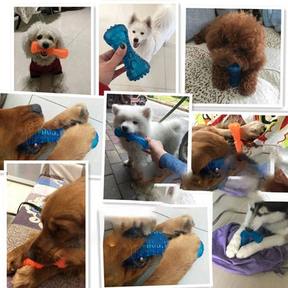 Resistant Bite Resistant Pet Toy Toothbrush Bone Sturdy Dog Toy Interactive Puppy Game Toy Dog Bone Rubber Puppy Chew Toy Dog